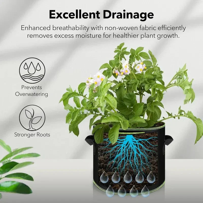 🔥 Last Day Buy 2 Get 2 Free 💚 Heavy-Duty Aeration Fabric Pots – Stronger Roots, Healthier Plants & Bigger Harvests 🪴✨