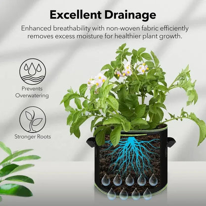 🔥 Last Day Buy 2 Get 2 Free 💚 Heavy-Duty Aeration Fabric Pots – Stronger Roots, Healthier Plants & Bigger Harvests 🪴✨