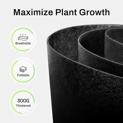 🔥 Last Day Buy 2 Get 2 Free 💚 Heavy-Duty Aeration Fabric Pots – Stronger Roots, Healthier Plants & Bigger Harvests 🪴✨