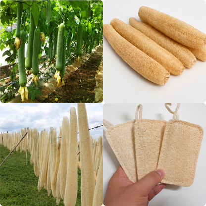 Natural Loofah Kitchen Scrubber