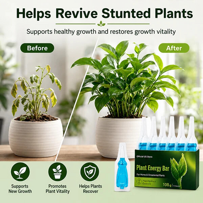 Official US Store JEREMYTIS® Plant Energy Bar