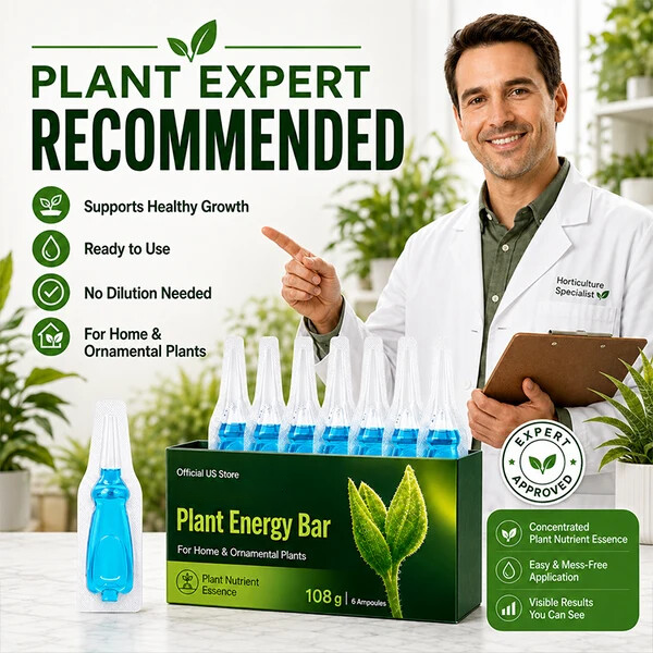 Official US Store JEREMYTIS® Plant Energy Bar